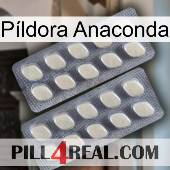 Píldora Anaconda 07.jpg